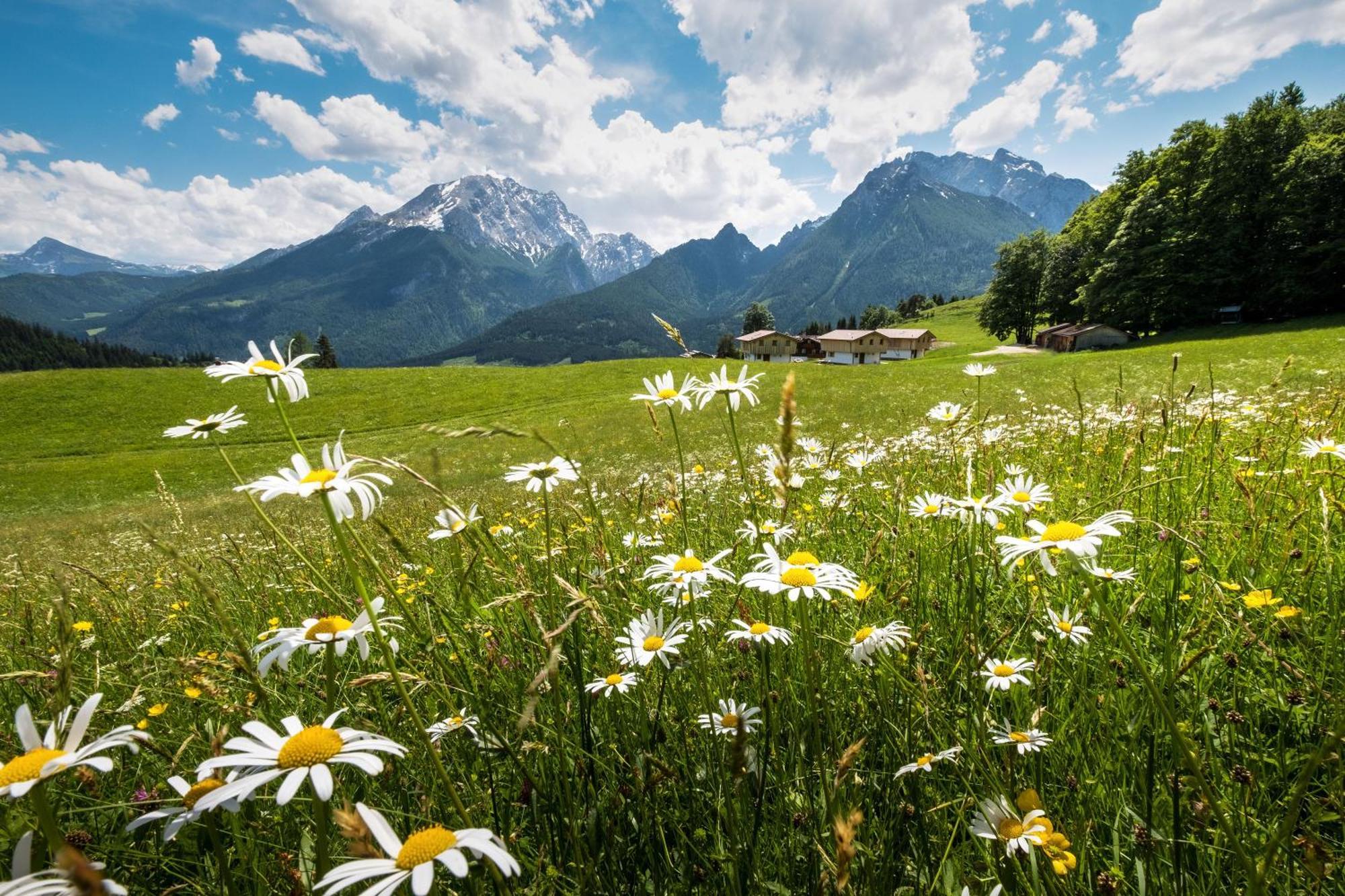 Alpenpension Ettlerlehen Ramsau bei Berchtesgaden Kültér fotó